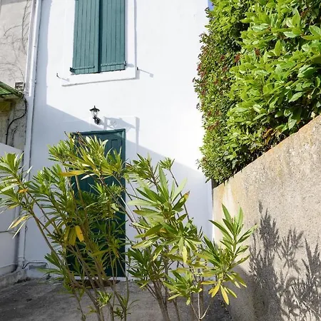 Holidays Holiday home